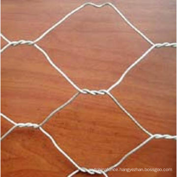 Building Materials Galvanized Hexagonal Wire Mesh Netting (Anjia-105)